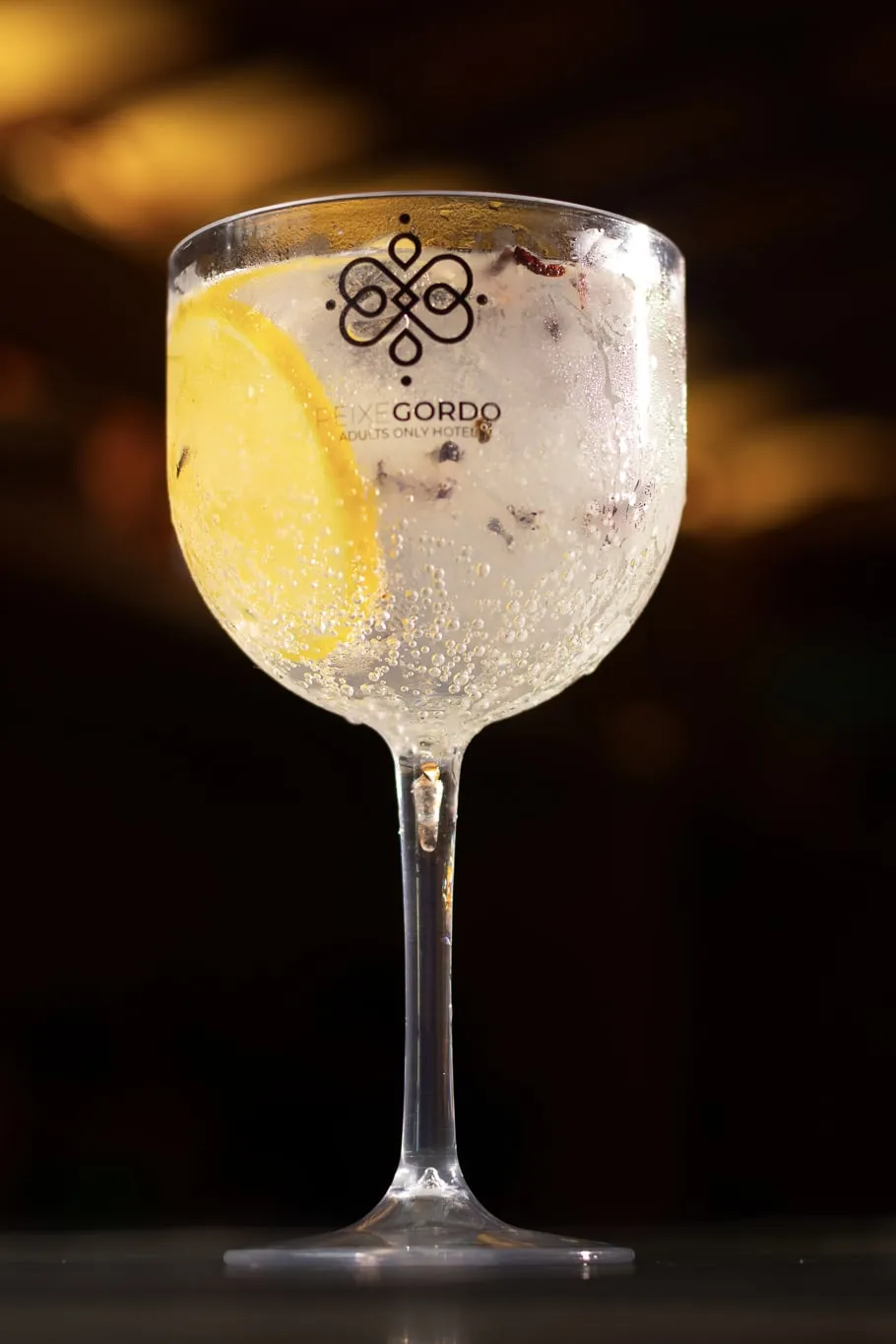 Peixe Gordo Hotel — 12